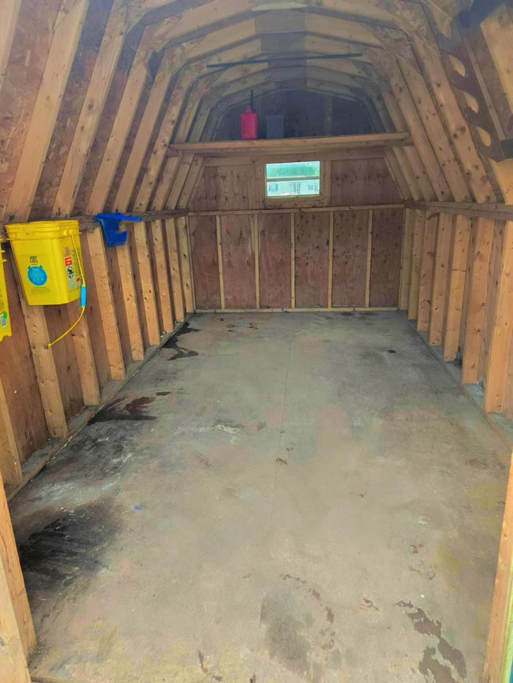 Backyard Shed Cleanout — after