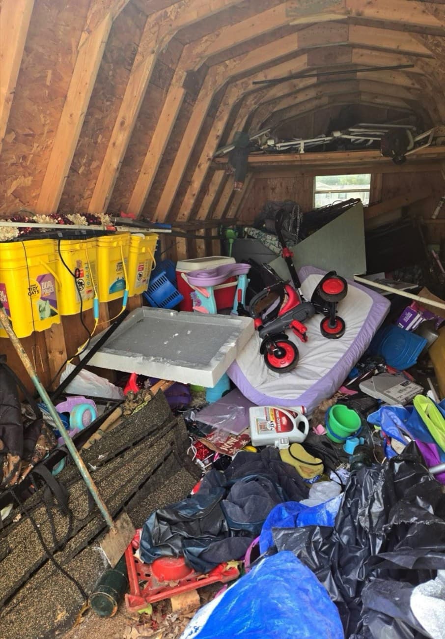 Backyard Shed Cleanout — before