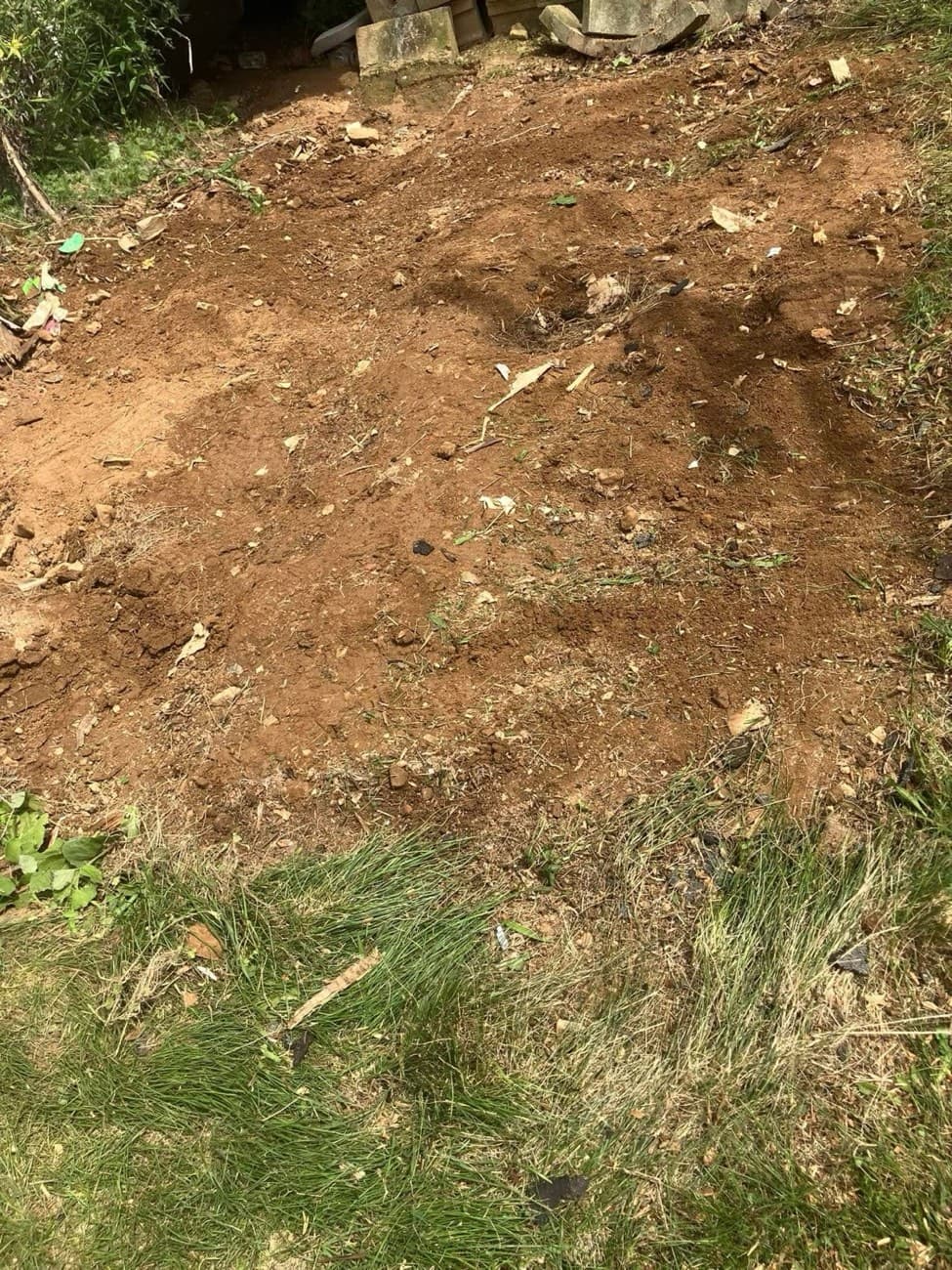 Shed Demolition & Removal — after